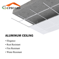 Carrelage suspendu de plafond suspendu en métal, Faux fer blanc, 30x60