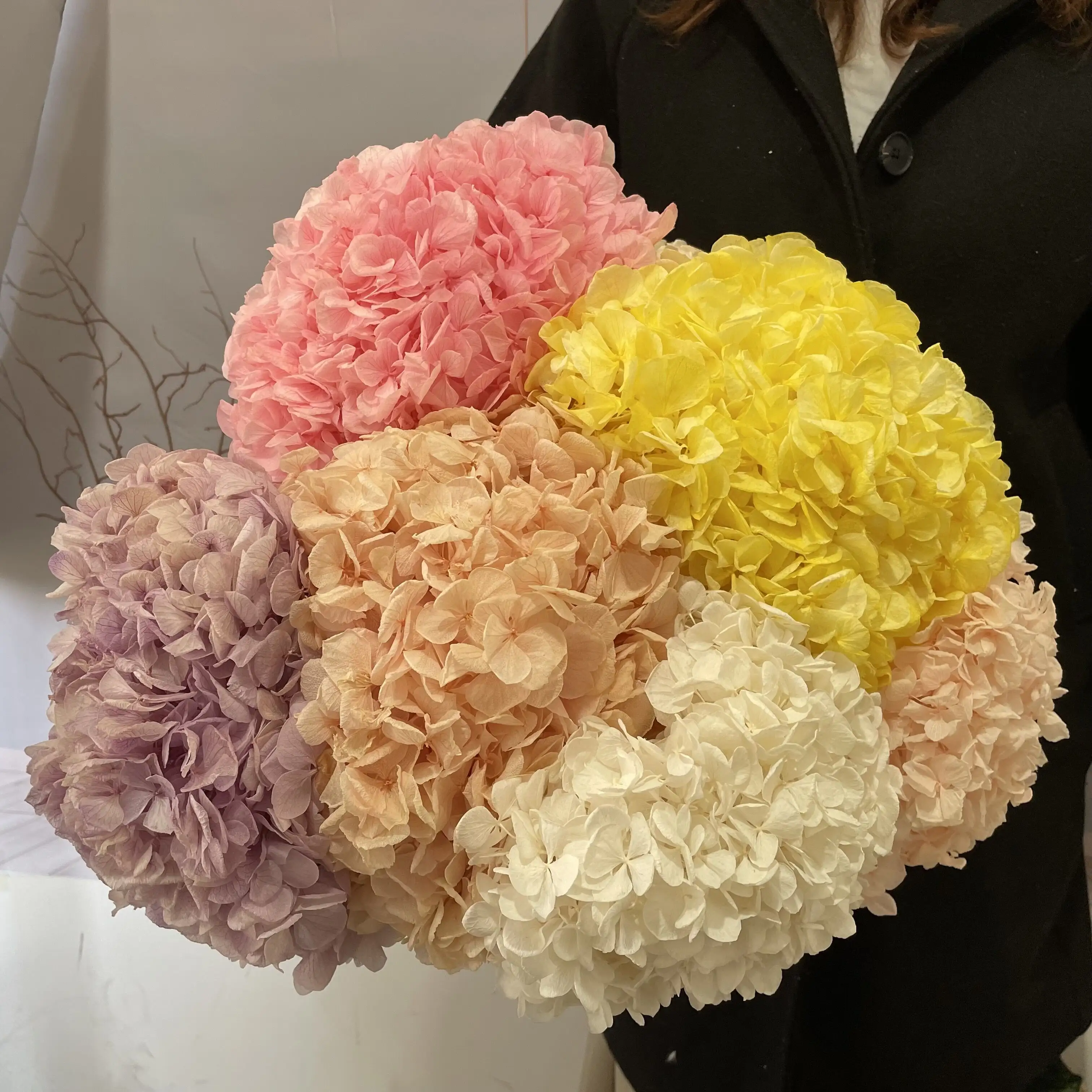 2022 Ins人気のリリースグリーンプリザーブドビッグリーフアジサイプリザーブドアジサイの花結婚式の装飾用