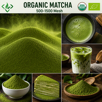 Poudre de Matcha certifiée biologique USDA et UE, Matcha de qualité cérémonielle, Poudre de thé vert Matcha, Vente en gros