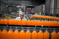 Compleet Vruchtensap Verwerking Machine/Sap Productie Machine/Sap Vullen Lijn