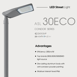 Led 가로등 야외 황혼에 새벽 뉴욕 거리 램프 좋은 가격 led 가로등 지그베 - Product Image 2