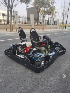 <span class=keywords><strong>Kart</strong></span> de course pour adultes à 2 places, 200cc/270cc, <span class=keywords><strong>prix</strong></span> bas, dernier modèle, prêt à l'emploi, pour la location - Product Image 5
