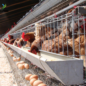 Meilleur prix pour des cages à poules pondeuses de type A, cages à batterie pour volailles, équipement d'élevage, poulailler pour poules pondeuses - Product Image 1