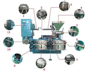 Economy Model 6YL-68 Rapeseed Oil Press Machine for small oil shop use