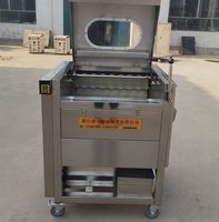 Nouvelle Machine de Lavage et de Pelage de Qualité Alimentaire pour Pommes de Terre, Manioc, Patates Douces, Carottes, Betteraves avec Brosse à Peau