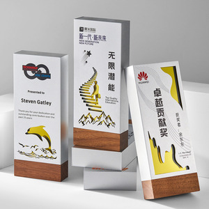 Trophée en bois créatif avec gravure laser et impression numérique, cadeau d'entreprise durable, plaque de récompense pour conférence - Product Image 2