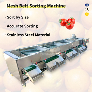 آلة فرز الفواكه والخضروات متعددة الوظائف مصنوعة بالكامل من الفولاذ المقاوم للصدأ 304 لفرز التوت والتمر حسب الحجم - Product Image 3