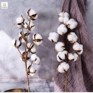 Hot Sale Artificial White 10 Heads Dried <strong>Cotton</strong> Flower Branch Dry <strong>Stem</strong> for Home Christmas Wedding Party Decoration - Product Image 6