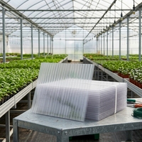 Plaque de polycarbonate alvéolaire gaufrée double couche pour serre