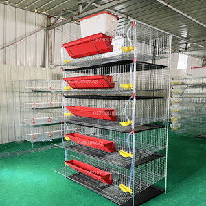 Cage <span class=keywords><strong>de</strong></span> <span class=keywords><strong>caille</strong></span> Offre Spéciale pour oeufs fécondés mâles et femelles cage <span class=keywords><strong>de</strong></span> <span class=keywords><strong>caille</strong></span> commerciale pour cailles jumbo - Product Image 4