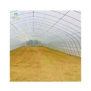 Usine chinoise, vente directe, 8x30m, serre bon marché, Tunnel à portée unique, utilisé pour l'agriculture, tomate, fraise