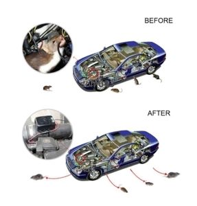 Répulsif de souris à ultrasons automobile intelligent avec capteur de protection de circuit Accessoires d'équipement de répulsif de saison d'automne - Product Image 3