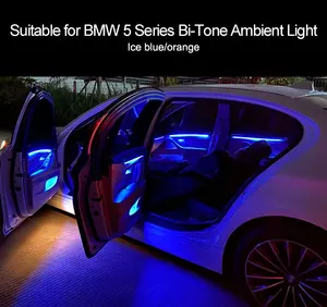 Système d'éclairage d'ambiance à LED pour voitures Bleu et Orange 2 couleurs Lampe d'ambiance pour BMW F10 F11 série 5 2010-2017 Bandes lumineuses de porte