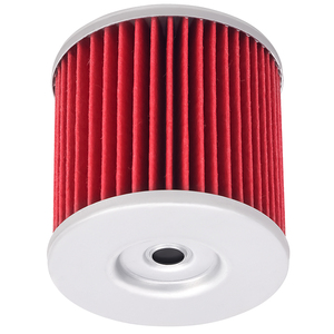 Phụ tùng xe máy Cartridge Lọc dầu cho <span class=keywords><strong>Hyosung</strong></span> <span class=keywords><strong>gt650</strong></span> <span class=keywords><strong>Comet</strong></span> 2007-2010 gt650r gt650s gv650 Aquila avitar ST7 14-0681 0712-0138 - Product Image 4