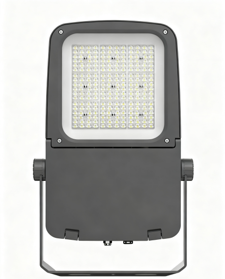 100W IP66 Aluminum LED Flood Light High Bright ROHS Certified 3000K-6000K Color Temp for Road Garden Stadium Use 5-Year Warranty