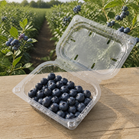 Conteneur en plastique recyclé RPET à clapet, capacité 250g, prêt à être expédié, G250F, boîte d'emballage pour fruits, pour myrtilles