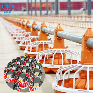 Moderno Equipo Avícola Totalmente Automático para la Cría de Pollos de Engorde en Galpón/Gallinero Comederos Eficientes para Aves - Product Image 2