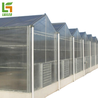 Tomaat Groen Huis Tunnel Invernaderos Polycarbonaat Multi-Span Agrarische Commerciële Kas Te Koop