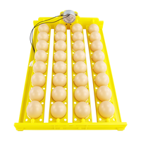 Couveuse automatique pour poulets, canards, oies, cailles, 32 œufs, panier à fleurs, mini plateau à œufs, 220V/110V/12V