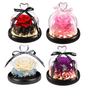 Regalo In cupola di vetro con luci a LED Rose eterne rosse per sempre Rose regalo romantico per le donne Rose stabilizzate per la <span class=keywords><strong>festa</strong></span> <span class=keywords><strong>della</strong></span> <span class=keywords><strong>mamma</strong></span> - Product Image 3