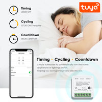 Article populaire 16A avec ligne de phase et ligne neutre, commande vocale, contrôle bidirectionnel, interrupteur intelligent Wi-Fi Tuya Mini 1 canal PST-AP-SMT