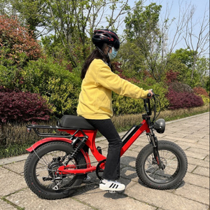 LOHAS – vélo électrique de montagne avec certification CE et batterie amovible, entrepôt dans l'ue - Product Image 1