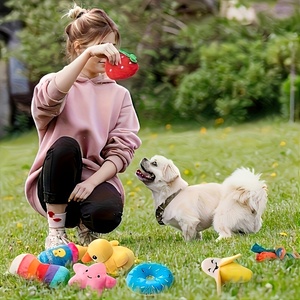 Paquete de 15 Juguetes Chirriantes para Perros, Set Económico de Juguetes de Peluche Suave para Cachorros, con Formas Variadas de Frutas y Animales, para Perros Pequeños y Medianos - Product Image 6