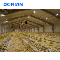 Hangars pour poulets de chair modernes Kit de poulaillers Préfabriqués en acier à plusieurs niveaux pour la volaille