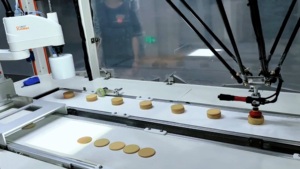 Üretim hattı için hızlı sıralama Delta paralel Robot - Product Image 3
