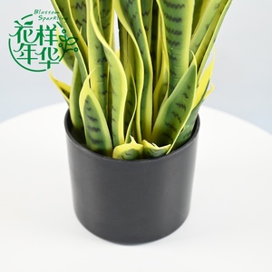 Plantas Artificiales de <span class=keywords><strong>Sansevieria</strong></span> al por Mayor, Simulación de Topiario Verde, Diferentes Tamaños, Precio, 120CM, Tacto Suave, Borde Amarillo, 32 <span class=keywords><strong>Hojas</strong></span> - Product Image 3