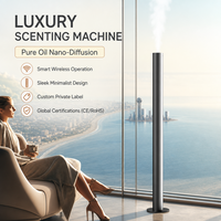 Diffuseur d'arômes commercial en aluminium, alimenté par USB, avec télécommande via application, couverture de 300 m, pour hôtels et bureaux, vente en gros