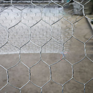 חוט חזיר דקורטיבי מגולוון רשת רשת רשת משושה עבור gabions והגנה מדרון - Product Image 3