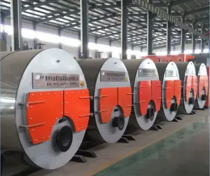 Hidrogen boiler untuk pemanasan rumah kaca menggunakan Cina manufaktur