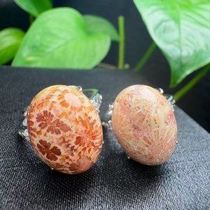 Anillo Abierto de Cobre con Jade Coral Natural, Coral Fósil Ovalado, Cristal Curativo, Anillo Ajustable <span class=keywords><strong>para</strong></span> Mujer, Joyería de Piedras Preciosas Chakra, Regalo - Product Image 2