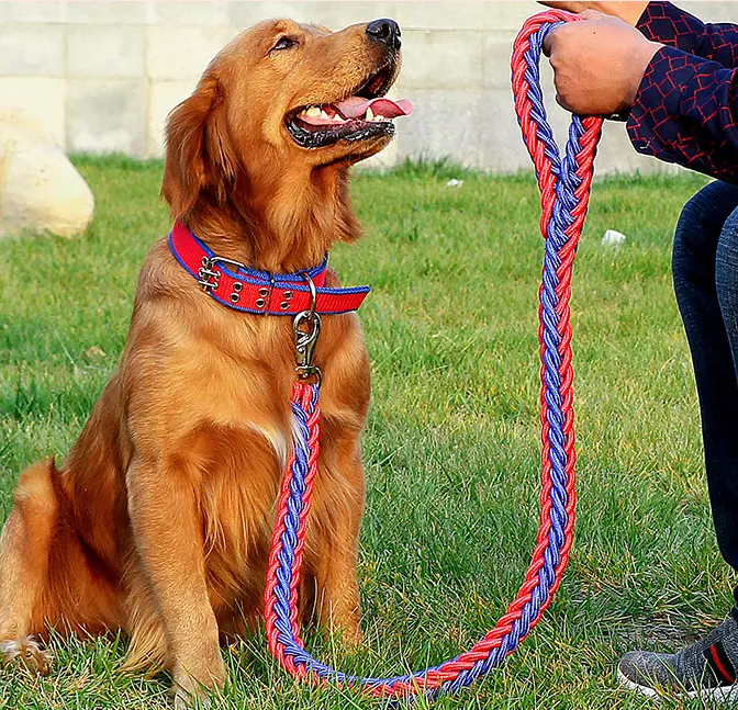 Puda Nylon eight-strand rope braided dog rope adjustable two-color collar leash for pet dogs collar & leash