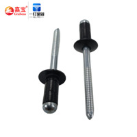 Pièces détachées automobiles Nouveau noyau à double tambour Rivets noirs galvanisés Clips en plastique pour pare-chocs Aluminium Fer Couleur noire