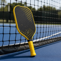 Raquette de pickleball en fibre de carbone brute Lingjun T700, noyau en nid d'abeille de 16 mm, norme USAPA, raquette professionnelle pour l'entraînement et le divertissement, logo personnalisé