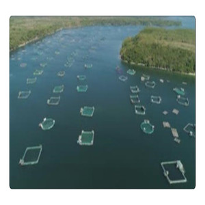 Diámetro 60 metros redonda hdpe flotante de la acuicultura trampas para la agricultura la cría de pescado - Product Image 6