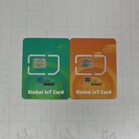 Kustomisasi Grosir Kartu SIM IoT 4G Global untuk Radio POC Jarak Jauh Global 4G LTE Walkie Talkie