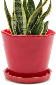 Maceta de Cerámica Roja con Diseño de Elefante, Linda Maceta para Cactus y <span class=keywords><strong>Suculentas</strong></span> - Product Image 5