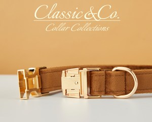 Collar de Perro Personalizado Color Café con Lazo y Correa, Grabado con Nombre de Mascota, Hebilla Metálica, Regalo de Cumpleaños para Cachorro, Envío Gratis - Product Image 5