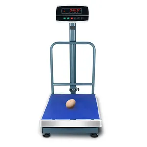 2023New Sale Computing Digital Scale Weighing Scale Stainless Steel Balance Floor Platform Scale for Weighing Luggage Package
