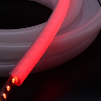 Bande de Tube de Guide Néon LED Incurvé Flexible et Étanche Diffuseur en Silicone Étanche