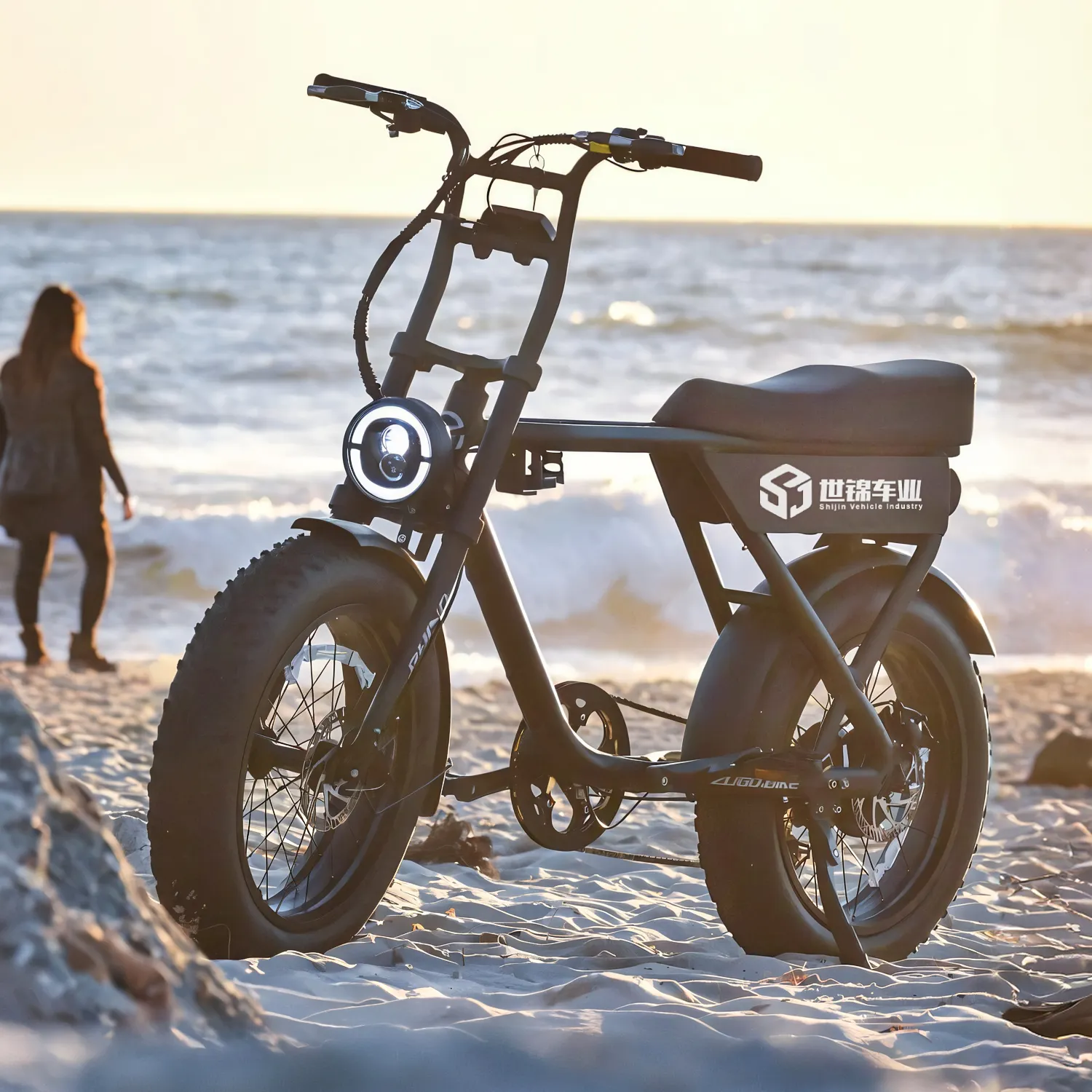 2024 סגנון חדש למבוגרים אופני צמיגים חשמליים אופניים E אופניים 20 אינץ' 750W 1000W אופני עיר חשמליים נטענים