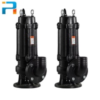 Bombas de Aguas Residuales de Hierro Fundido WQ de 1hp, 2hp y 3hp con Salida de Descarga de 2 Pulgadas, para Tratamiento de Aguas Residuales