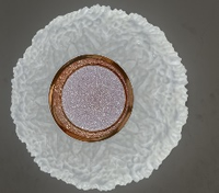 Plafonnier LED élégant en acrylique et fer, 3 couleurs changeantes, pour salon, décoration intérieure, design d'éclairage - Vente en gros