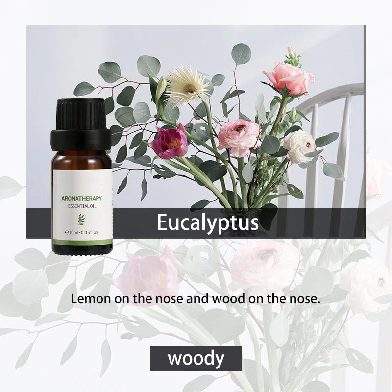 Eucalyptus