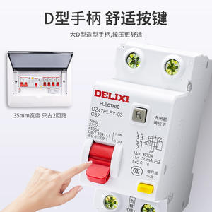 Interruptores de Circuito en Caja Moldeada Delixi, 1P Doméstico, 2P Interruptor de Aire con Protección Contra Fugas, Modelos Disponibles de 40A, 32A, 20A y 63A - Product Image 4