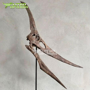 Modelo de <span class=keywords><strong>Esqueleto</strong></span> de <span class=keywords><strong>Pteranodon</strong></span> de Tamaño Real en Resina y Fibra de Vidrio para Interiores y Exteriores, para Centros Comerciales y Parques de Trampolín - Product Image 4