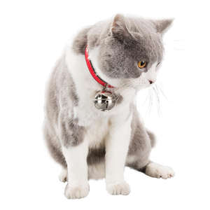 Qbellpet Neue Leder-Haustierhalsbänder Hübsches Katzenhalsband Luxuriöses Hundehalsband mit Geräuschreduzierender Verarbeitungsglocke - Product Image 5